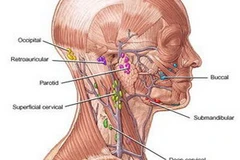 Ảnh chỉ có tính minh họa. (Nguồn: Internet)