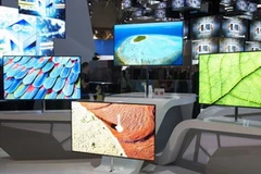 Ảnh minh họa. (Nguồn: Internet)