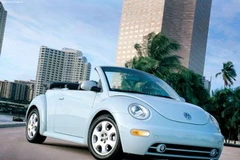 Ảnh minh họa. (Nguồn: Internet)