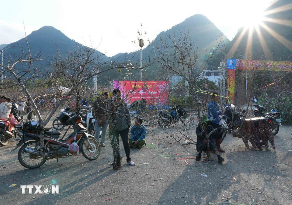 Chợ hoa trên đại lộ Lê Lợi càng về chiều càng có nhiều người dân từ các bản làng đổ về để bán đào. (Ảnh: Quý Trung/TTXVN)