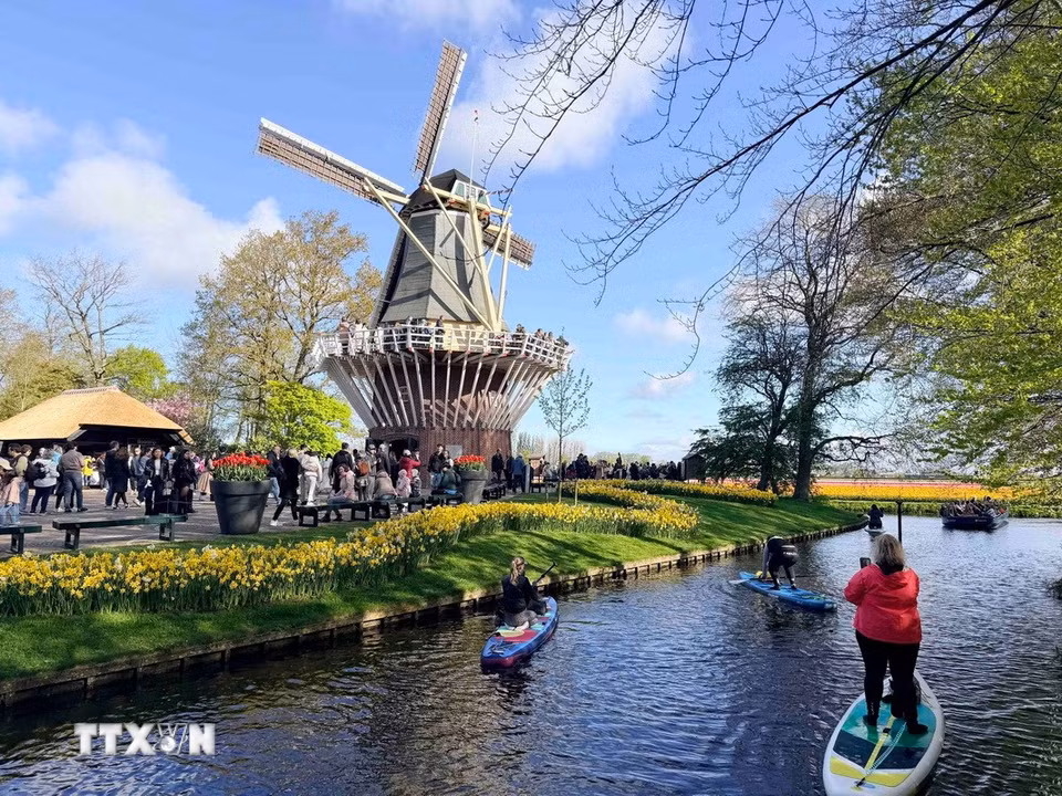 Một góc công viên Keukenhof. (Ảnh: Hương Giang/TTXVN)