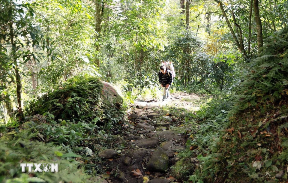 Trải qua thời gian và chiến tranh, hiện nay con đường này còn khoảng 17km. (Ảnh: Quý Trung/TTXVN)