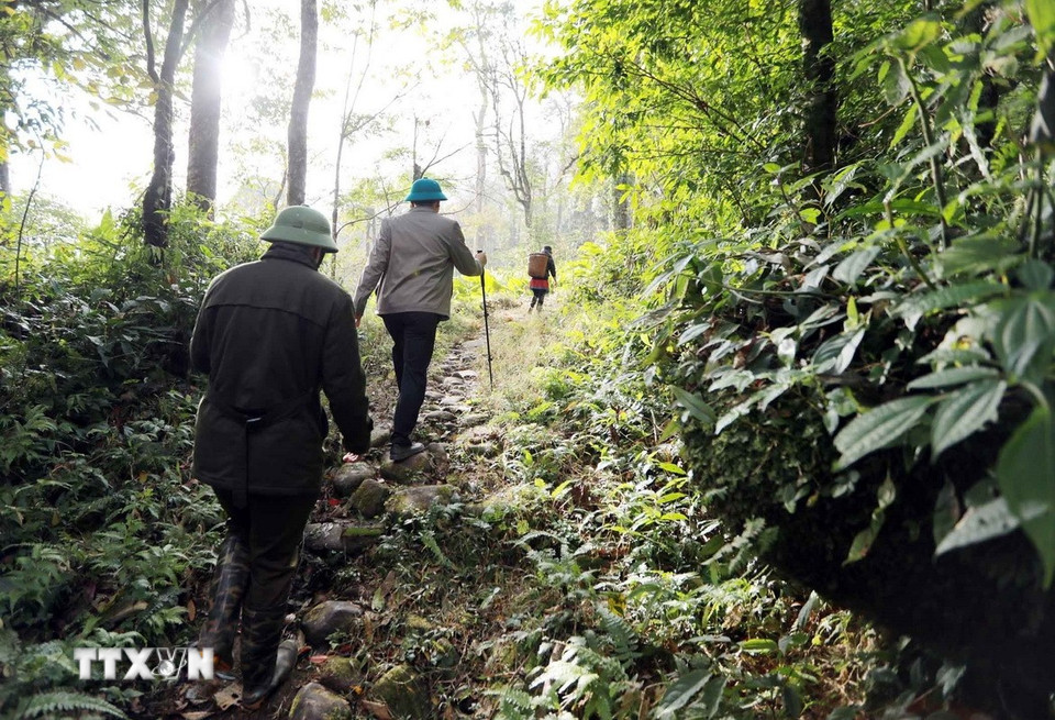 Thời gian qua, tỉnh Lai Châu phối hợp với tỉnh Lào Cai tiến hành khảo sát để đưa ra các phương án khai thác phát triển du lịch con đường đá cổ Pavie. (Ảnh: Quý Trung/TTXVN)