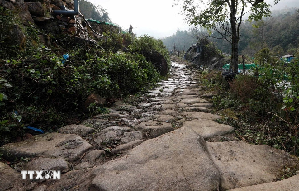 Dấu tích của con đường đá cổ hơn 100 năm tuổi như chứng nhân của lịch sử. (Ảnh: Quý Trung/TTXVN)