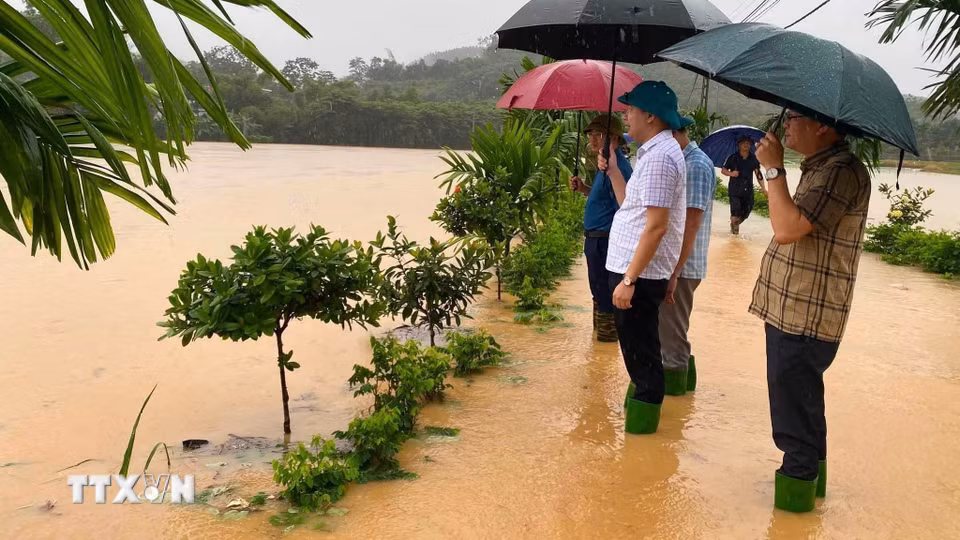 Lãnh đạo xã Thác Bà (Lào Cai) kiểm tra các vị trí bị ngập úng. (Ảnh: TTXVN phát)