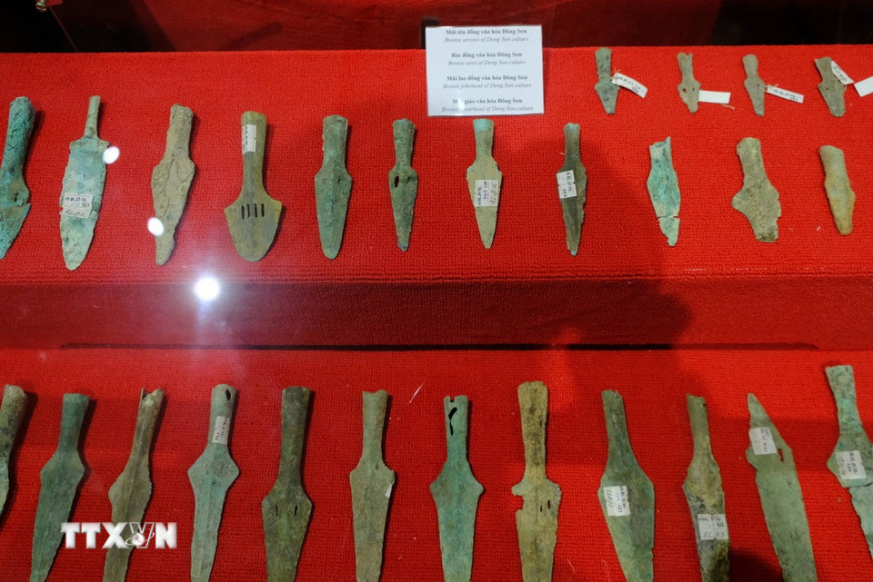 Bảo tàng Đại học Đà Lạt còn có khu trưng bày các hiện vật về khảo cổ học của các giảng viên của nhà trường sưu tầm, lưu giữ. (Ảnh: Nguyễn Dũng/TTXVN)