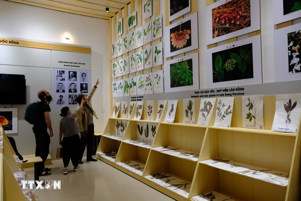 Du khách tham quan, tìm hiểu tại không gian trưng bày các loại thực vật đặc hữu, quý hiếm tại Lâm Đồng nói riêng và Việt Nam nói chung. (Ảnh: Nguyễn Dũng/TTXVN)