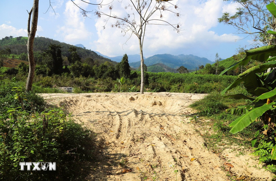 Bãi cát có quy mô lớn nằm ven suối, khuất sau khuôn viên trang trại của người dân ở thôn Thịnh Phong (xã Quế Phong, tỉnh Nghệ An). (Ảnh: Xuân Tiến/TTXVN)