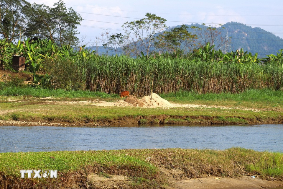 Cát khai thác được tập kết trên các bãi bồi ven suối trên địa bàn xã Quế Phong (Nghệ An). (Ảnh: Xuân Tiến/TTXVN)