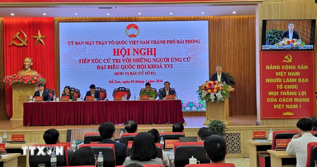 Người ứng cử mong muốn đưa Hải Phòng phát triển mạnh mẽ về cảng biển, logistics