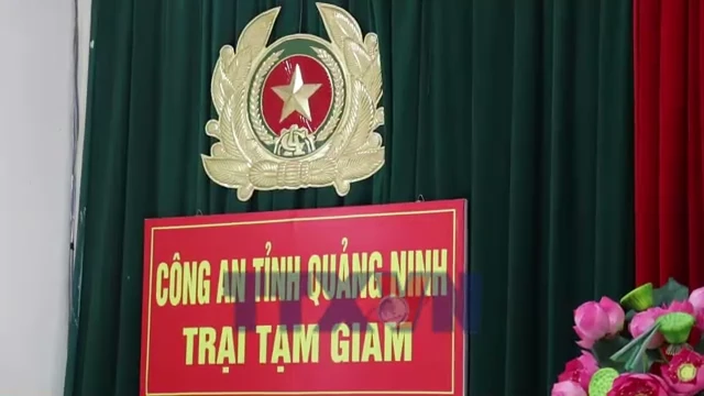 Quảng Ninh: 890 Cử Tri Đặc Biệt Bỏ Phiếu Trong Trại Tạm Giam
