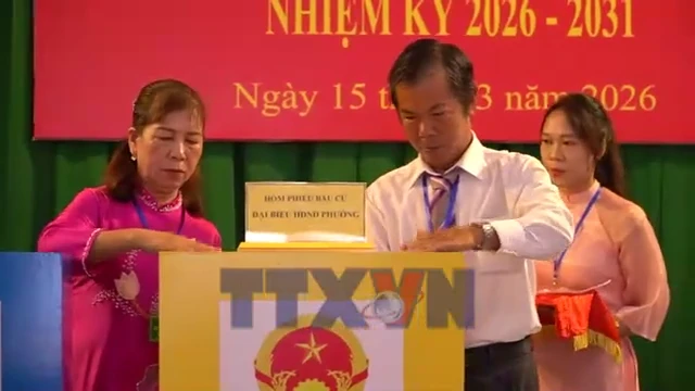 Gần 2,6 Triệu Cử Tri Gia Lai Hào Hứng Tham Gia Ngày Hội Bầu Cử Quốc Hội Khóa XVI