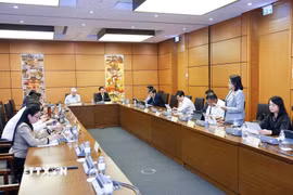 Đoàn đại biểu Quốc hội các tỉnh Lâm Đồng và Nghệ An thảo luận ở tổ. (Ảnh: Doãn Tấn/TTXVN)