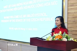 Chủ tịch Hội Chữ thập Đỏ Việt Nam Đỗ Thị Thu Thảo phát biểu. (Ảnh: Minh Đức/TTXVN)