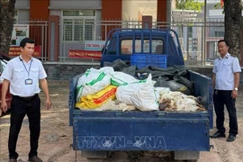 Ảnh minh họa. (Nguồn: TTXVN)