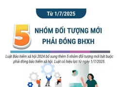 5 nhóm đối tượng mới phải đóng bảo hiểm xã hội