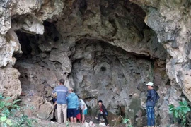 Nhiều bộ nghi là hài cốt người được người dân phát hiện ở hang Lèn Chùa, xã Nghĩa Thành, huyện Nghĩa Đàn, Nghệ An. (Ảnh: TTXVN)