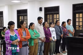  TAND tỉnh Cà Mau đã tuyên phạt hơn 113 năm tù cho 9 bị cáo thực hiện hành vi tìm kiếm những người phụ nữ có hoàn cảnh gia đình khó khăn rồi dụ dỗ, thuyết phục giới thiệu sang Trung Quốc làm việc nhẹ, lương cao. (Ảnh: TTXVN phát.)