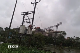 Mưa bão đã làm 6/45 trạm biến áp 110 kV và 13/72 đường dây 110 kV bị sự cố; lưới trung áp ghi nhận 155/264 lộ bị ảnh hưởng. (Ảnh: TTXVN phát)