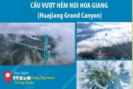 Cây cầu cao nhất thế giới chính thức đi vào hoạt động 