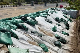 Gia cố bao tải cát trên nền vải địa kỹ thuật tại điểm sụp lún kè Thường Thới Tiền (thuộc xã Thường Phước, tỉnh Đồng Tháp). (Ảnh: TTXVN phát)