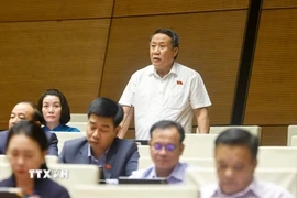 Đại biểu Quốc hội tỉnh Quảng Trị Hà Sỹ Đồng phát biểu. (Ảnh: Doãn Tấn/TTXVN)