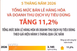 Tổng mức bán lẻ hàng hóa và doanh thu dịch vụ tiêu dùng tăng 11,2% 