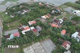 Hàng chục ngôi nhà dân ở xã Long Phụng (Quảng Ngãi) bị tốc mái, hư hại, nay đã được sửa sang lại kiên cố hơn. (Ảnh: Hải Âu/TTXVN)