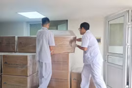 Công ty CP AVAC Việt Nam vận chuyển vaccine Dịch tả lợn châu Phi lên xe phục vụ xuất khẩu sang Indonesia. (Nguồn: AVAC)