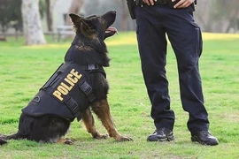 Ảnh minh họa. (Nguồn: AFP)