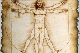Bức họa “The Vitruvian Man” 