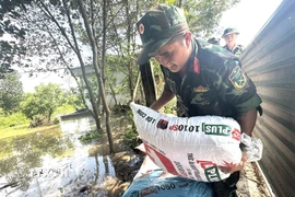 Chiến sỹ trung đoàn 68 thuộc sư 312 tham gia bồi đắp gia cố đê tại thôn Phong Mỹ, xã Trung Giã, Hà Nội. (Ảnh: Quốc Lũy/TTXVN)