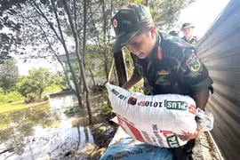Chiến sỹ trung đoàn 68 thuộc sư 312 tham gia bồi đắp gia cố đê tại thôn Phong Mỹ, xã Trung Giã, Hà Nội. (Ảnh: Quốc Lũy/TTXVN)