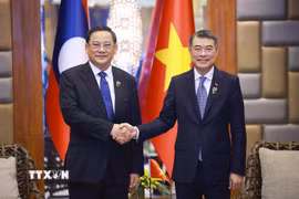 Thủ tướng Lê Minh Hưng gặp Thủ tướng Lào Sonexay Siphandone. (Ảnh: Dương Giang/TTXVN)