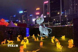 Không gian của lễ hội lung linh huyền ảo. (Ảnh: Mạc Luyện/TTXVN)