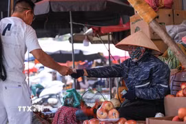 Dù ngồi trong bóng râm, người bán hàng hoa quả tại chợ Đồng Xuân vẫn phải trang bị "áo điều hoà" để tránh sốc nhiệt. (Ảnh: Hoàng Hiếu/TTXVN)