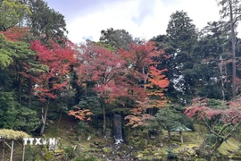 Thác nước và hồ Kasumigaike tượng trưng cho nguồn nước, một trong sáu đặc điểm làm nên vẻ đẹp Kenrokuen. (Ảnh: Nguyễn Tuyến/TTXVN)