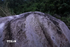 Khối đá có một hình vẽ gợi nhiều hình ảnh liên tưởng. (Ảnh: Trọng Đạt/TTXVN)