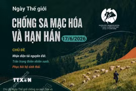Ngày Thế giới chống sa mạc hóa và hạn hán: Nhận diện, trân trọng và phục hồi 