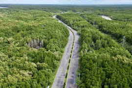 Tuyến đường Rừng Sác là trục chính kết nối trung tâm Thành phố với Cần Giờ.