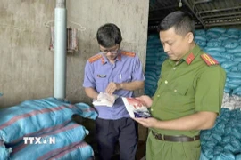 Cơ quan chức năng kiểm tra kho muối thành phẩm của đối tượng. Ảnh: TTXVN phát