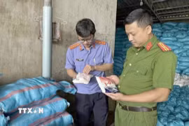 Cơ quan chức năng kiểm tra kho muối thành phẩm của đối tượng. Ảnh: TTXVN phát