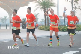 Giải chạy Việt Nam tôi đó - My Vietnam 2025 