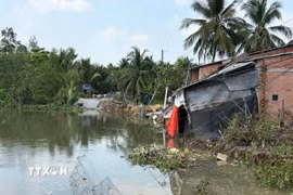 Hiện trường vụ sạt lở nghiêm trọng đã xảy ra trên tuyến đường Đông sông Phú An, thuộc xã Bình Phú, tỉnh Đồng Tháp. (Ảnh: Công Trí/TTXVN)