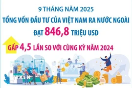 Đầu tư của Việt Nam ra nước ngoài đạt 846,8 triệu USD