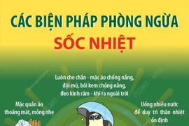 Các biện pháp phòng ngừa sốc nhiệt, say nắng 