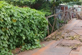 Hiện trạng sụt lún của cầu Bà Lễ ở thành phố Cần Thơ. (Ảnh: Tuấn Phi/TTXVN)