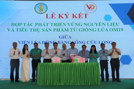 Viện Lúa Đồng bằng sông Cửu Long và Công ty TNHH Tập đoàn Vương Đình ký kết hợp tác cùng phát triển sản xuất khoảng 200.000ha lúa OM19 tại Đồng bằng sông Cửu Long nhằm xây dựng thương hiệu “Gạo Cần Thơ”. (Ảnh: Thu Hiền/TTXVN)