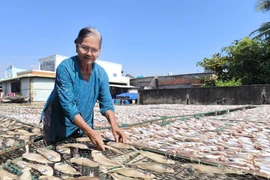 Bà Nguyễn Thị Em, hộ làm cá khô tại làng nghề cá khô Bình Thắng (xã Bình Đại, tỉnh Vĩnh Long). (Ảnh: Huỳnh Phúc Hậu/TTXVN)