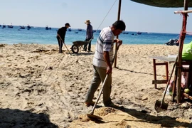 Các lực lượng của địa phương cùng người dân dọn dẹp rác thải khu vực bãi biển du lịch tại khu vực thôn Lý Hòa, phường Quy Nhơn Đông (tỉnh Gia Lai). (Ảnh: TTXVN phát)